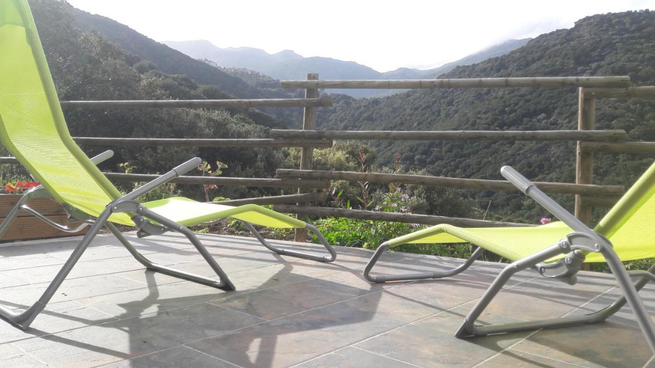 Appartement Giannoni San-Martino-di-Lota Kültér fotó