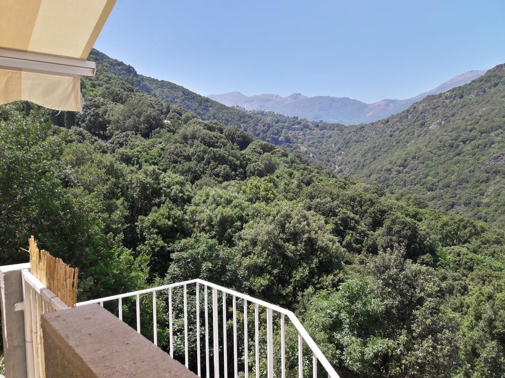 Appartement Giannoni San-Martino-di-Lota Kültér fotó